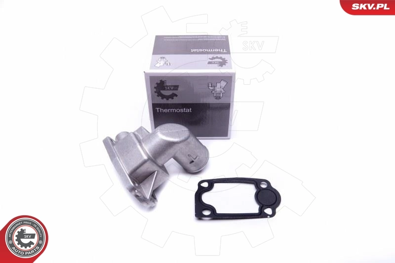 Thermostat, coolant